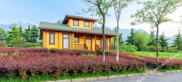 华山自驾露营地(华山景区游客中心店)图片