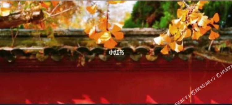 如家商旅酒店(衢州火车站万达广场店)图片