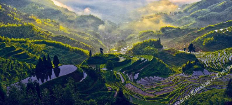 云和望田居民宿(云和梯田景区店)图片