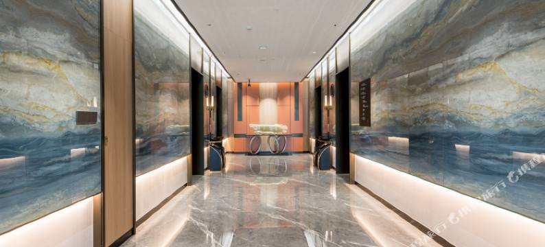 广州白云机场雅致酒店图片