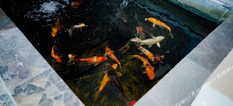 Teras Teduh Warm Pool & Mountain View Villa图片