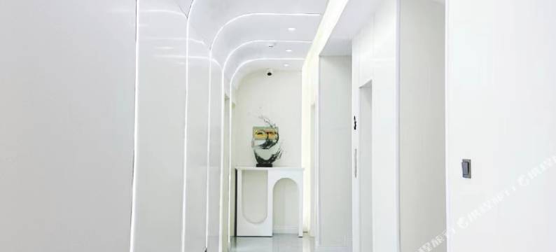 陌野轩民宿(文成公主剧场店)图片