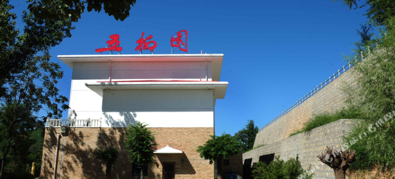 五柳园酒店图片