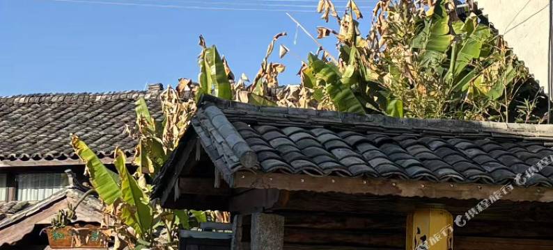 江苴古镇柴码民宿图片