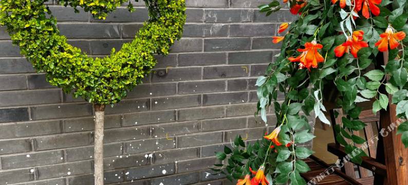 茶隐·舍民宿(南浔古镇景区店)图片