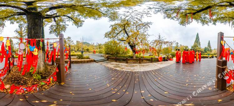 长兴牧童遥指居民宿图片