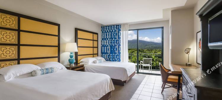 温德姆豪华里奥马尔雨林海滩高尔夫度假村(Wyndham Grand Rio Mar Rainforest Beach and Golf Resort)图片