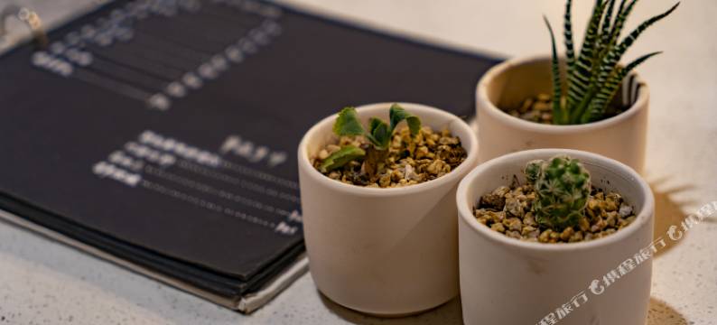 镇远蝶庄·悠怡南岸民宿(镇远古城店)图片