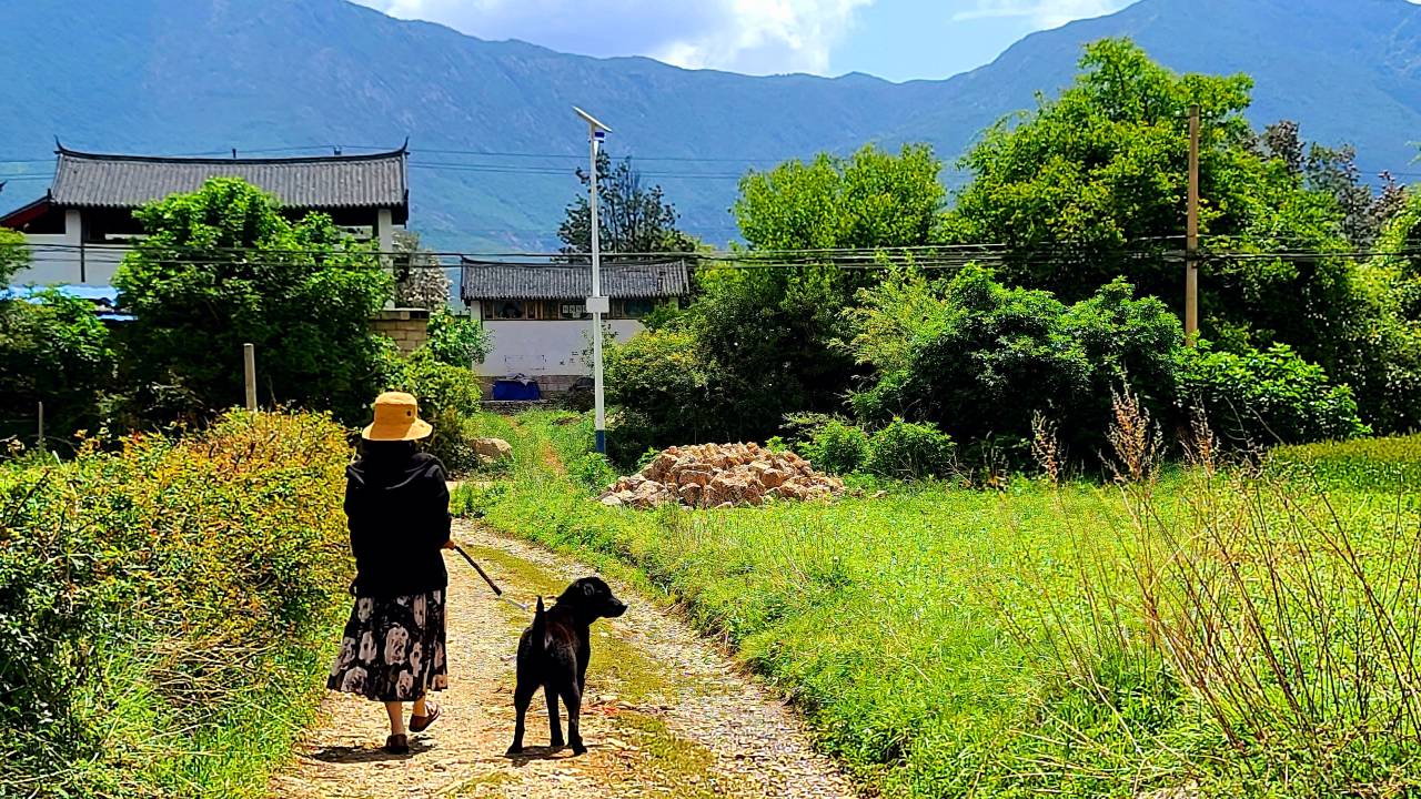 荒度余生AR-Xnn有风·光影美学丨° 既山野度假雪景酒店图片