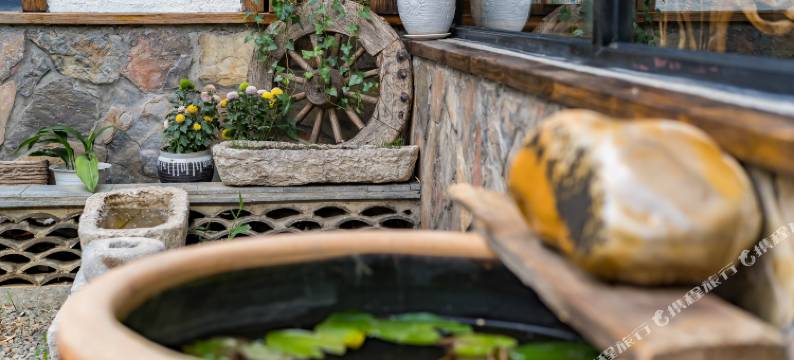 北京静园四合院客栈图片