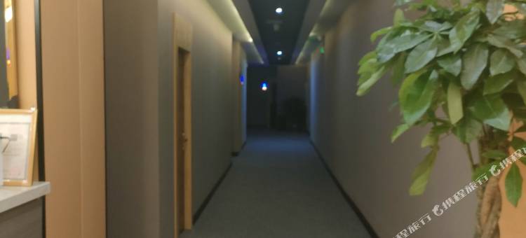 星悦酒店(礼县实验中学店)图片