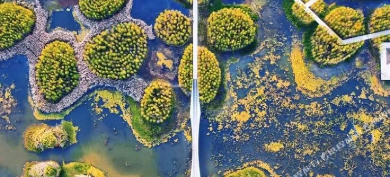 希岸酒店(南昌高新吾悦广场北沥地铁站店)图片