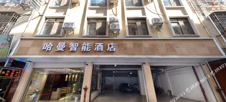 哈曼智能酒店(宾阳财政路店)图片