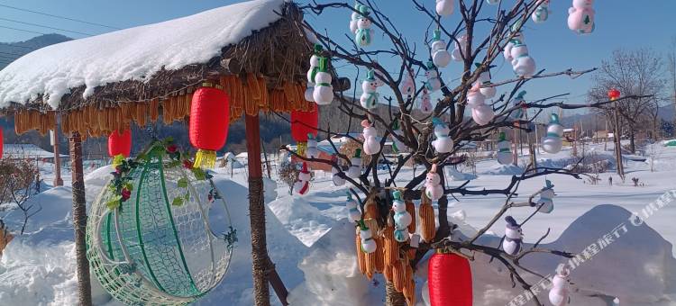 雪谷君宝来客栈(中国雪谷风景区店)图片