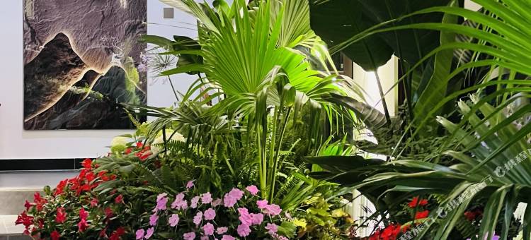 丽笙花园美宿(丽江古城大水车店)图片