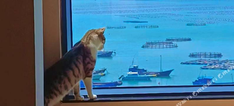 霞浦海名薇咖啡民宿图片