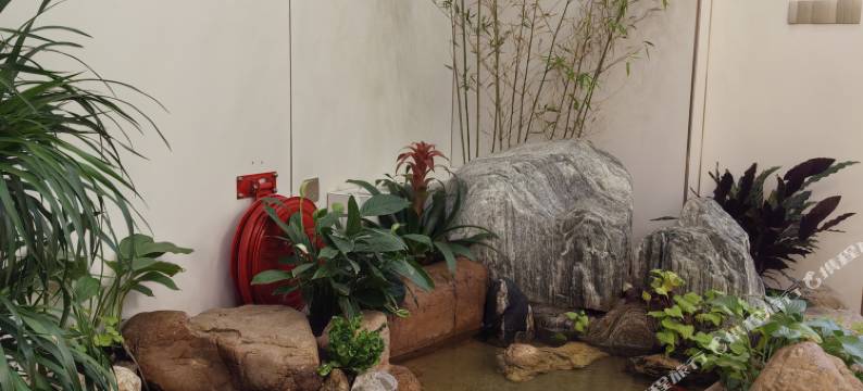 荷风雅居民宿图片