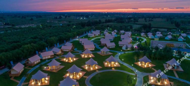 大漠花海酒店图片