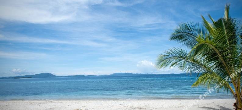 阿尔蒙特海滩度假酒店(Almont Beach Resort)图片