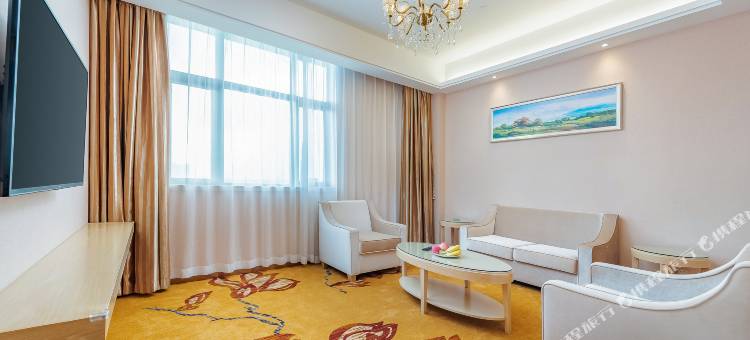 维也纳酒店(龙州店)图片