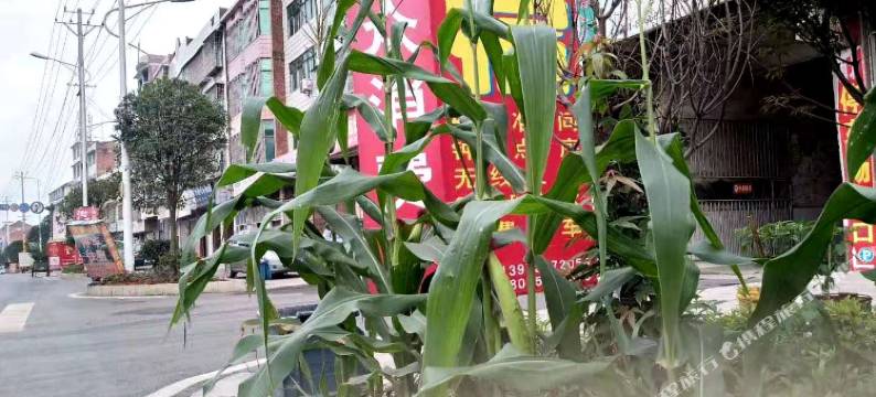 邵东南北物流住宿图片