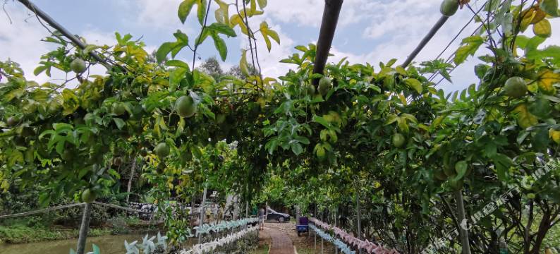 南昆山云逸温泉度假公寓(南昆大观店)图片