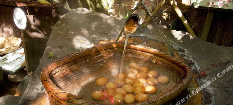 黑川温泉易阔旅馆(Ikoi Ryokan)图片