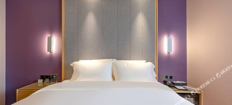 麗枫酒店(佛山千灯湖平洲玉器街店)图片