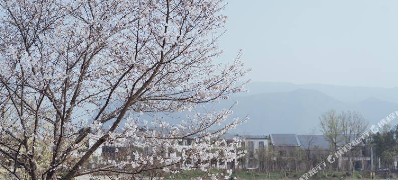 仙居笑梦居客栈图片