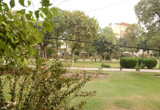 Hotel Pace Inn Hotel Overview