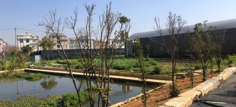 玉溪玉泉苑温泉图片