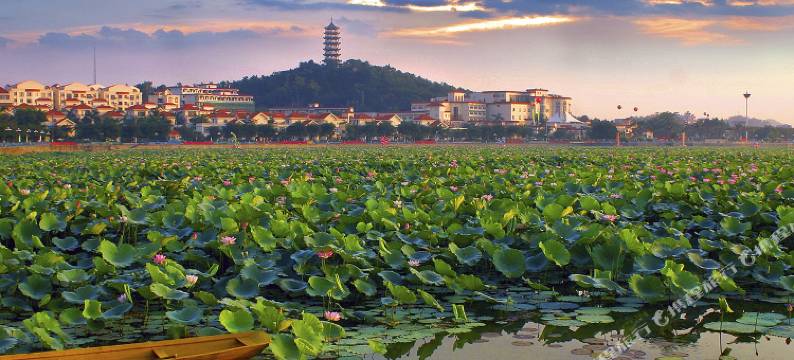 桥头三正半山酒店图片