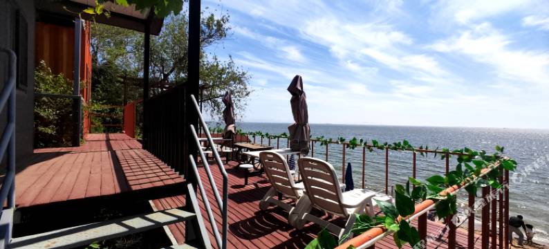 大连尊王·海宿图片