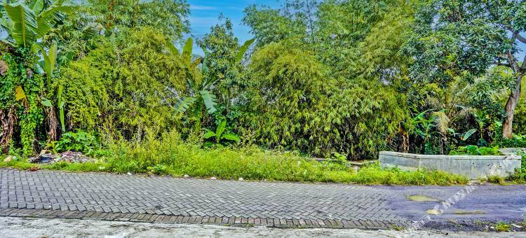 O酒店克芒吉阿斯里公寓(Hotel O Kemangi Asri Kost)图片