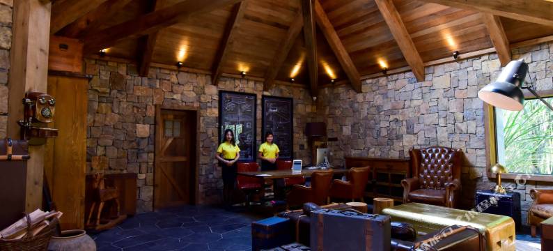 齐云山自由家·树屋世界图片