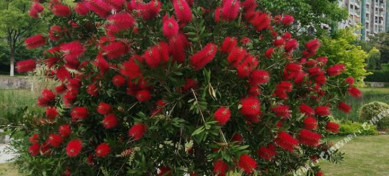 武汉77优品酒店(汉口火车站店)图片