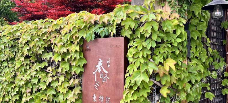上海东樟记民宿图片