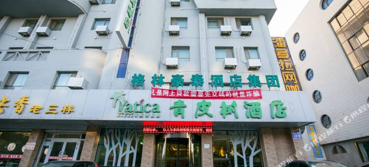 青皮树酒店(酒泉钟鼓楼店)图片