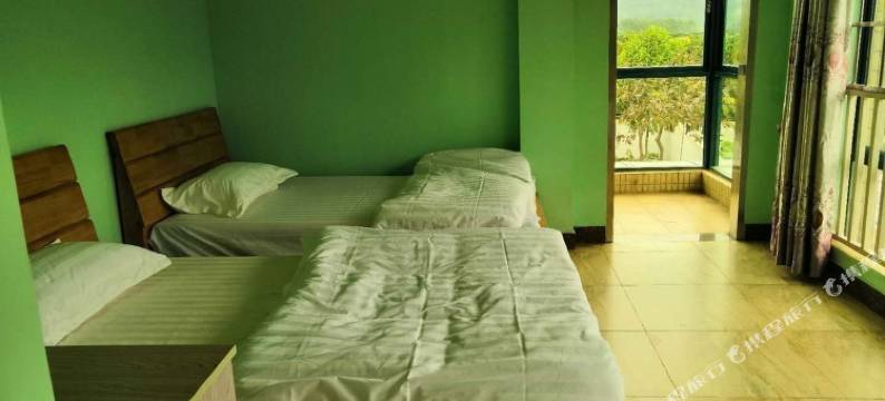 广州大树zsx度假别墅图片