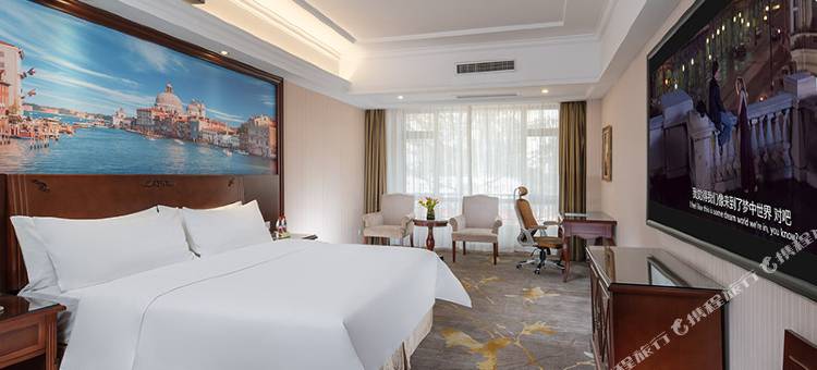 维也纳酒店(佛山黄岐金铂天地嘉洲广场店)图片