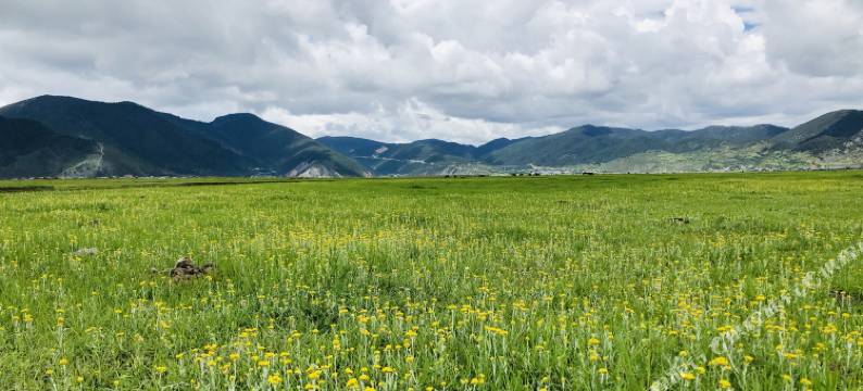 香格里拉游牧一族帐篷营地图片