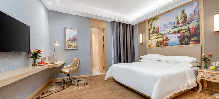 维也纳国际酒店(东莞石排生态园店)图片