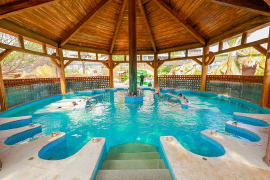 厦门京闽悦府·园博湾温泉康养中心预订价格,联系电话位置地址【携程