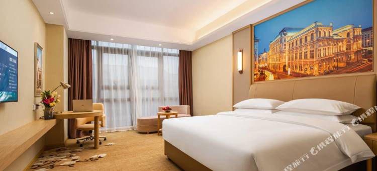 维也纳酒店(融洲风情店)图片