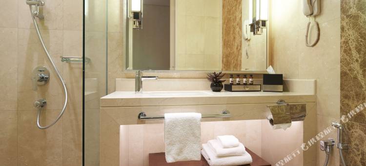 新加坡小印度假日酒店 - IHG 旗下酒店(Holiday Inn Singapore Little India)图片