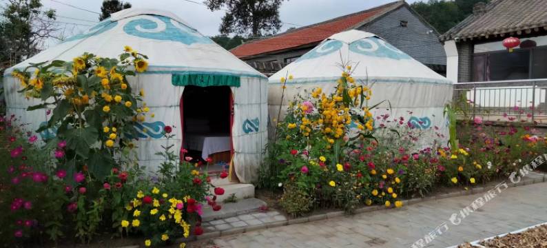 塞罕坝老村长民宿图片