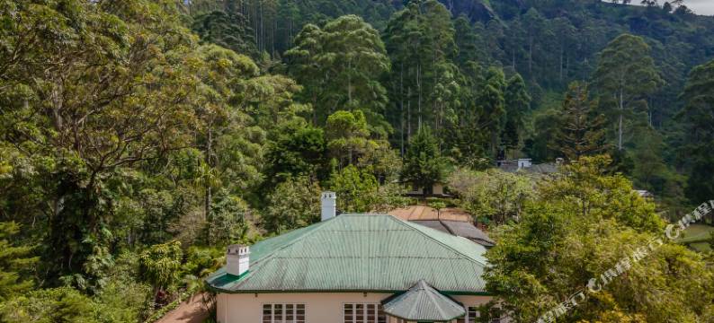 伊斯克海格罗夫庄园(Highgrove Estate By Ishq)图片