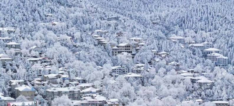 庐山夕拾知间图片