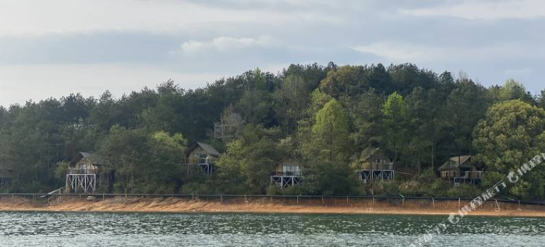 山屿海野奢露营地图片