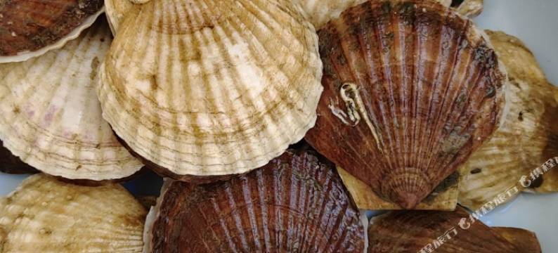 日照德安宾馆(第三海水浴场店)图片